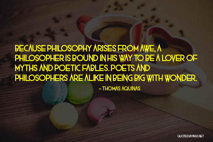 Not Being Alike Quotes By Thomas Aquinas Not Being Alike Quotes By Thomas Aquinas