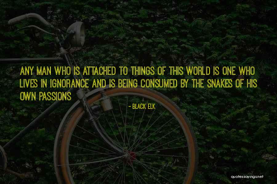 Not Being Attached To Someone Quotes By Black Elk Not Being Attached To Someone Quotes By Black Elk