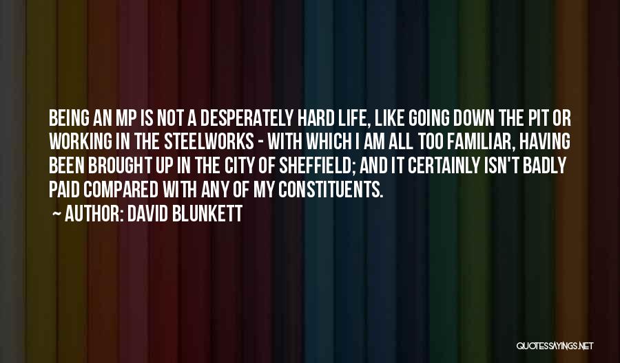 Not Being Brought Down Quotes By David Blunkett