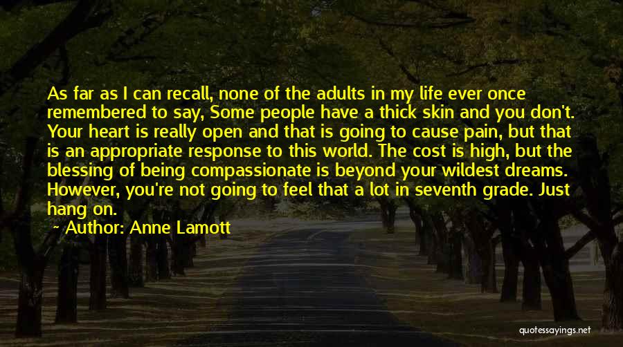Not Being Compassionate Quotes By Anne Lamott