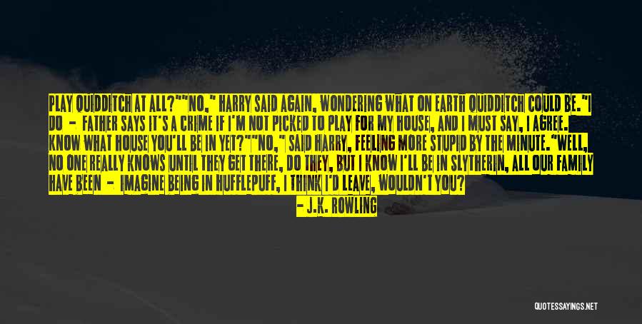 Not Being Family Quotes By J.K. Rowling