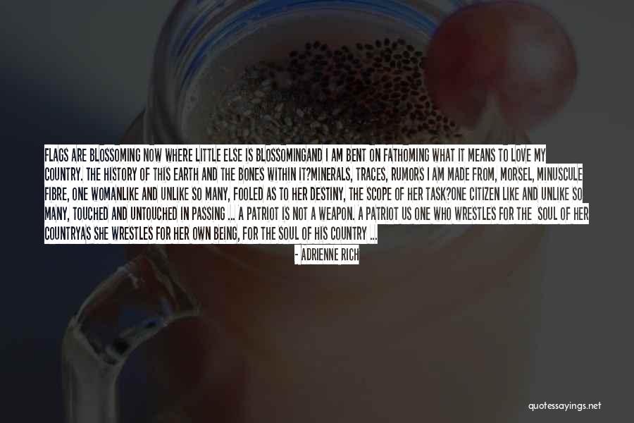 Not Being Fooled Quotes By Adrienne Rich Not Being Fooled Quotes By Adrienne Rich