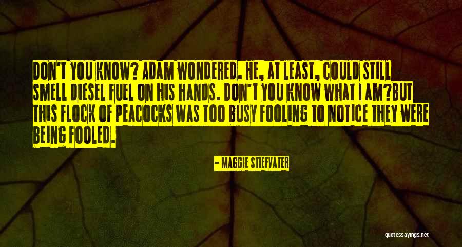Not Being Fooled Quotes By Maggie Stiefvater Not Being Fooled Quotes By Maggie Stiefvater