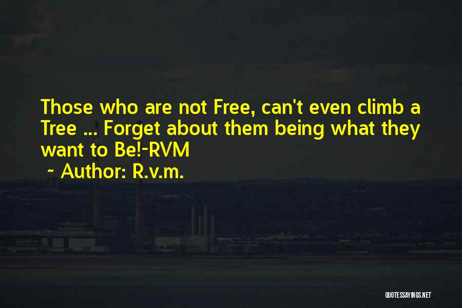 Not Being Free Quotes By R.v.m.