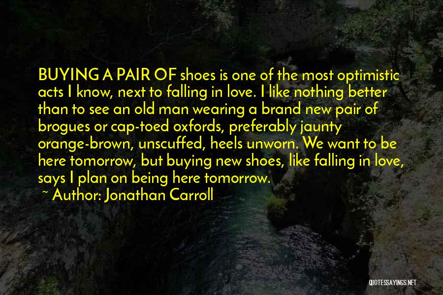 Not Being Here Tomorrow Quotes By Jonathan Carroll