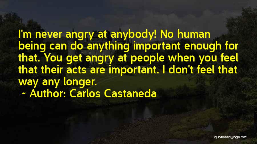 Not Being Important Enough Quotes By Carlos Castaneda