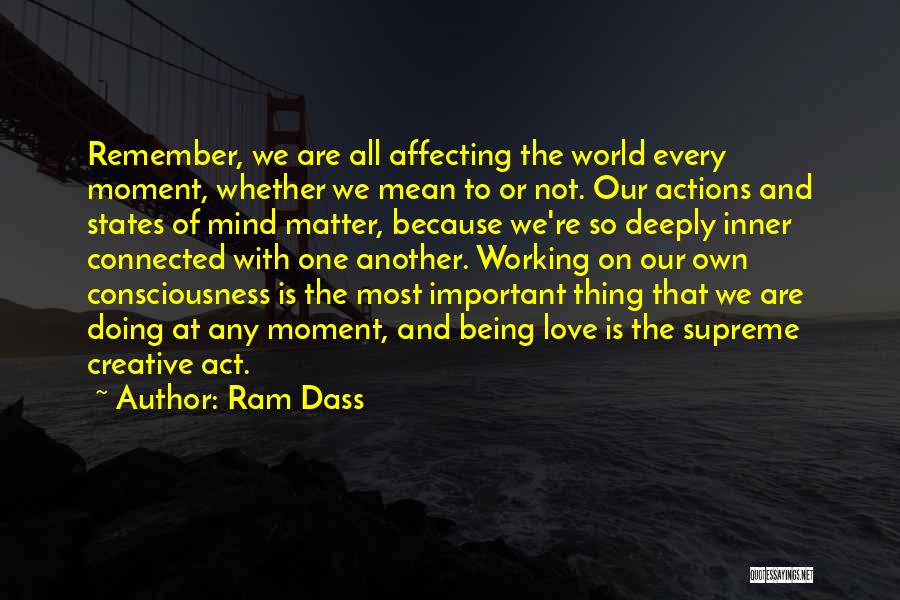 Not Being Important Quotes By Ram Dass