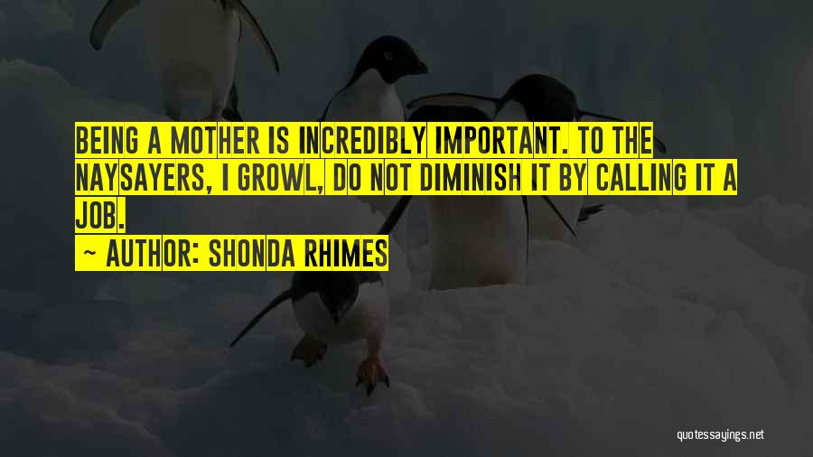 Not Being Important Quotes By Shonda Rhimes