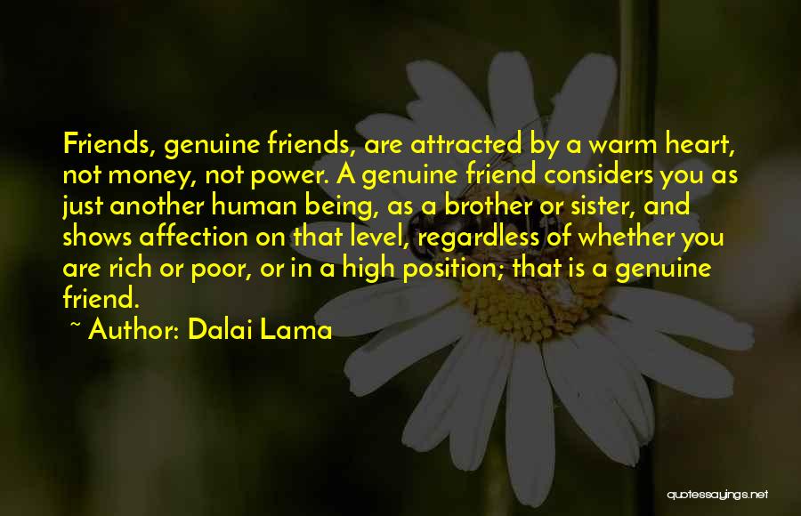 Not Being Just Friends Quotes By Dalai Lama