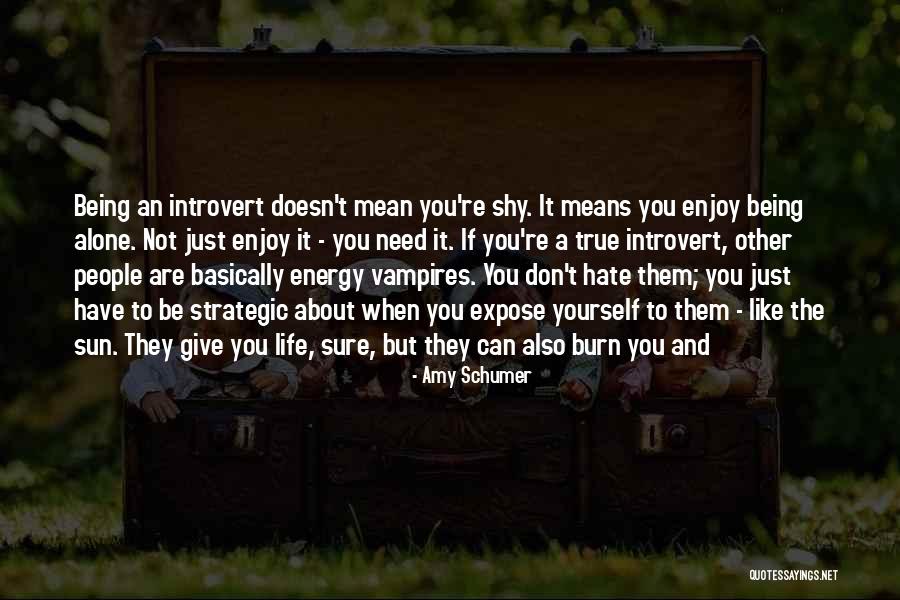 Not Being Mean Quotes By Amy Schumer Not Being Mean Quotes By Amy Schumer