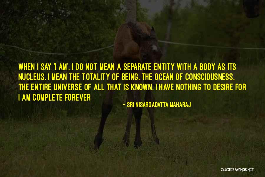 Not Being Mean Quotes By Sri Nisargadatta Maharaj Not Being Mean Quotes By Sri Nisargadatta Maharaj
