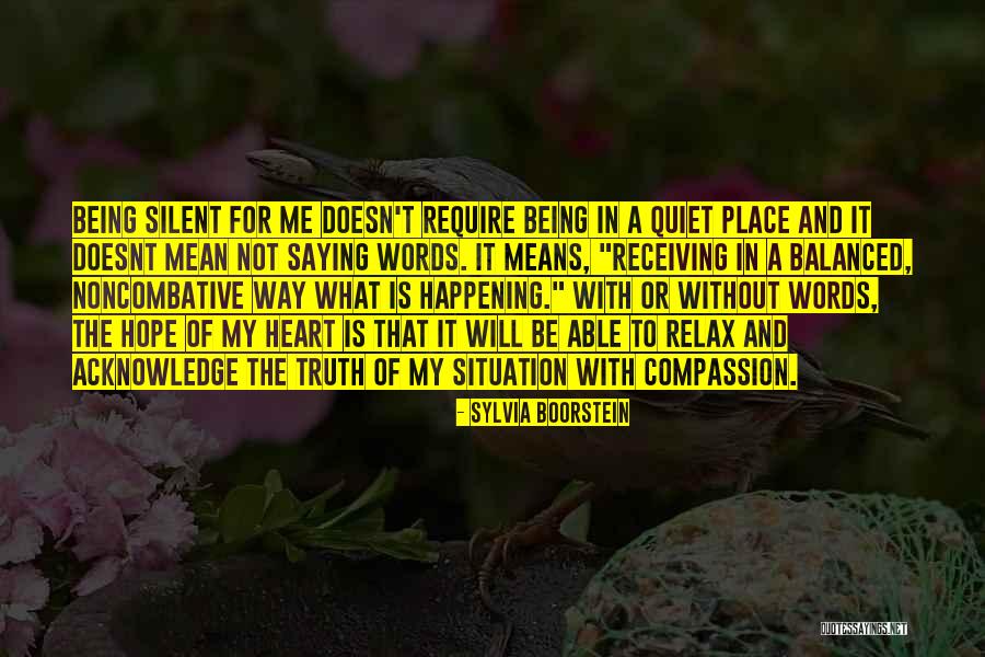 Not Being Mean Quotes By Sylvia Boorstein Not Being Mean Quotes By Sylvia Boorstein