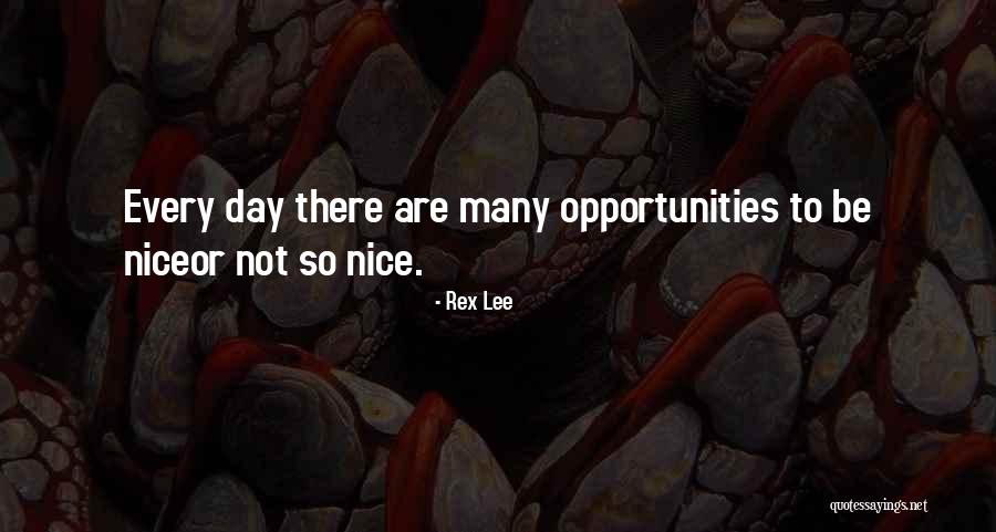 Not Being Nice Quotes By Rex Lee