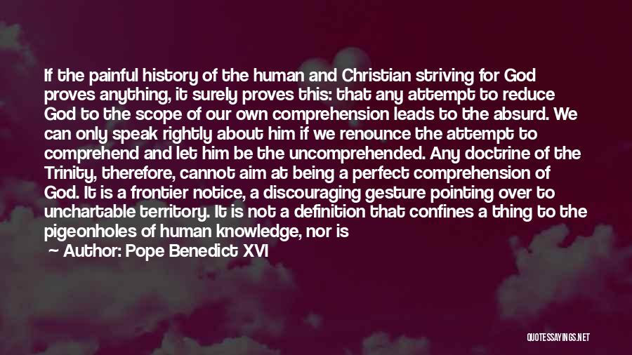 Not Being Perfect Christian Quotes By Pope Benedict XVI