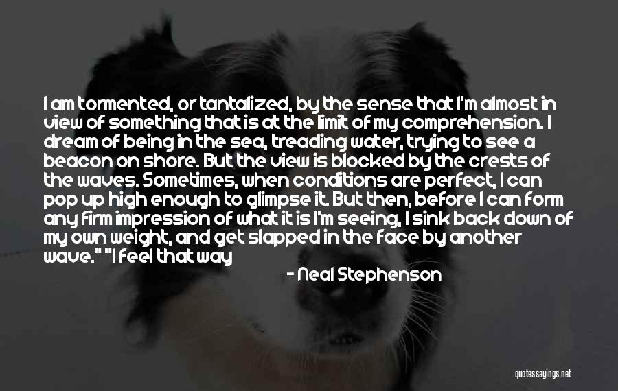 Not Being Perfect Enough Quotes By Neal Stephenson Not Being Perfect Enough Quotes By Neal Stephenson