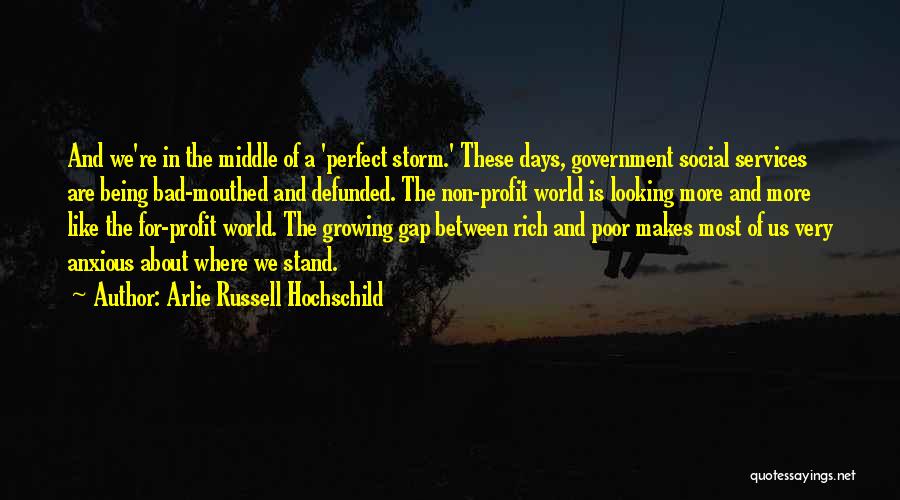 Not Being Perfect Looking Quotes By Arlie Russell Hochschild