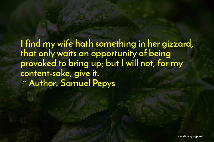 Not Being Provoked Quotes By Samuel Pepys