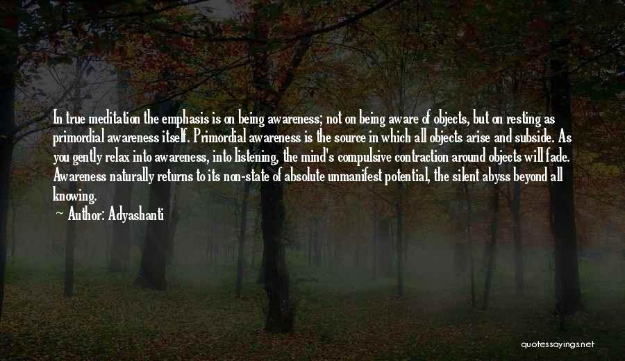 Not Being Silent Quotes By Adyashanti