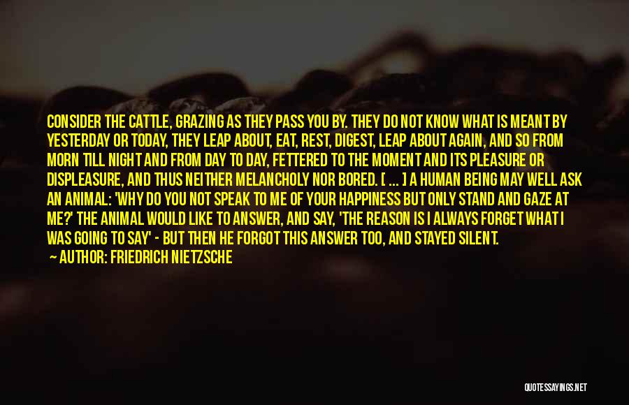 Not Being Silent Quotes By Friedrich Nietzsche