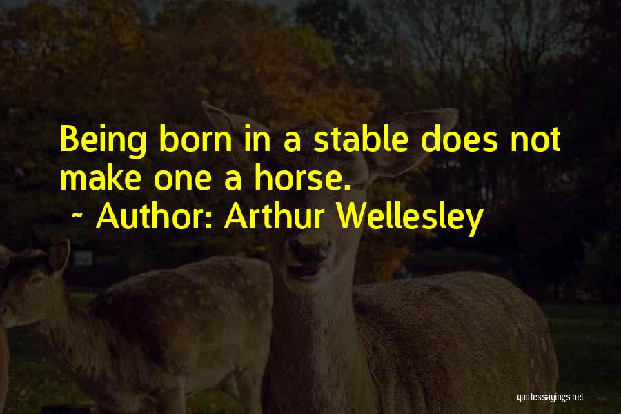 Not Being Stable Quotes By Arthur Wellesley