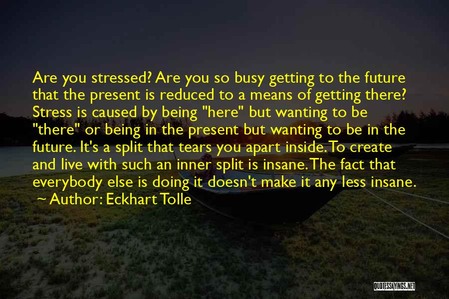 Not Being Stressed Quotes By Eckhart Tolle