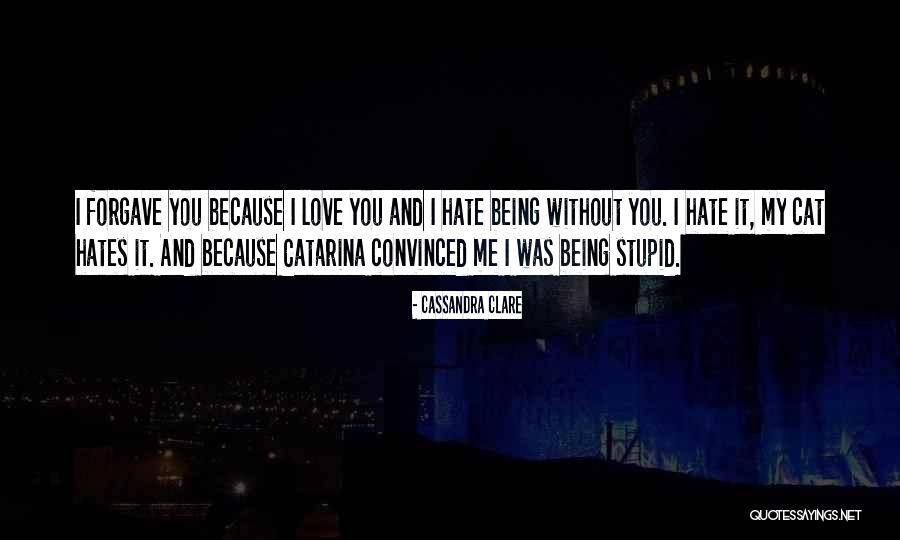 Not Being Stupid In Love Quotes By Cassandra Clare Not Being Stupid In Love Quotes By Cassandra Clare
