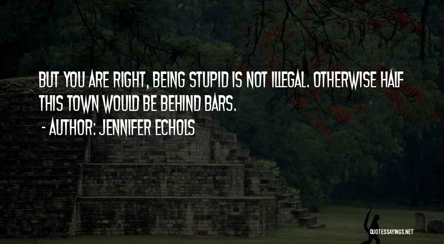 Not Being Stupid Quotes By Jennifer Echols