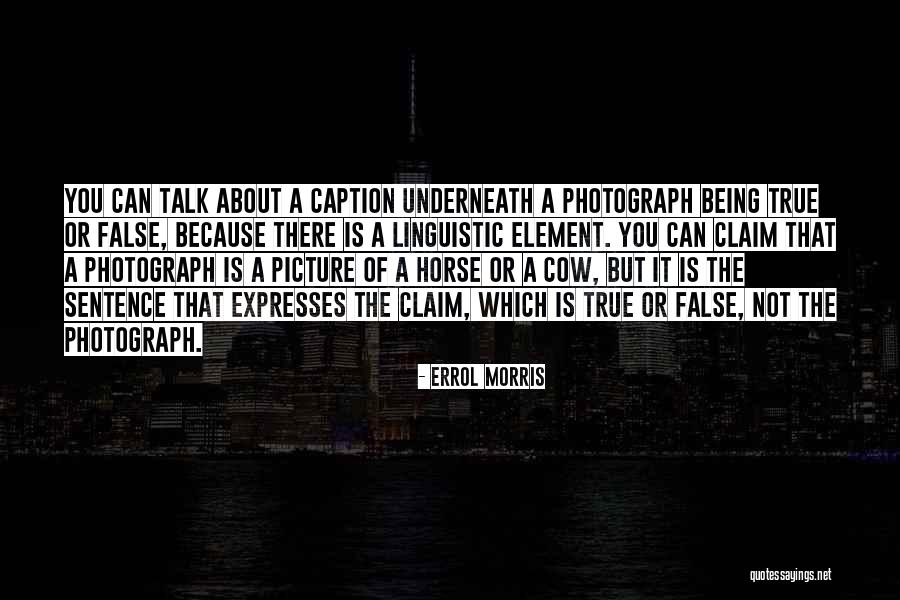 Not Being True Quotes By Errol Morris Not Being True Quotes By Errol Morris