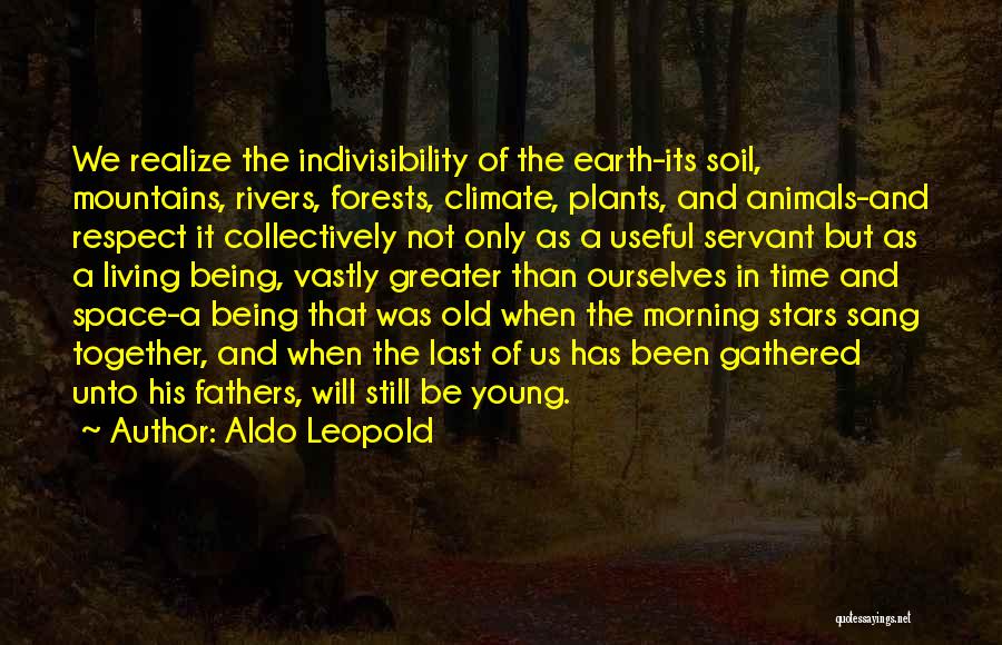 Not Being Useful Quotes By Aldo Leopold