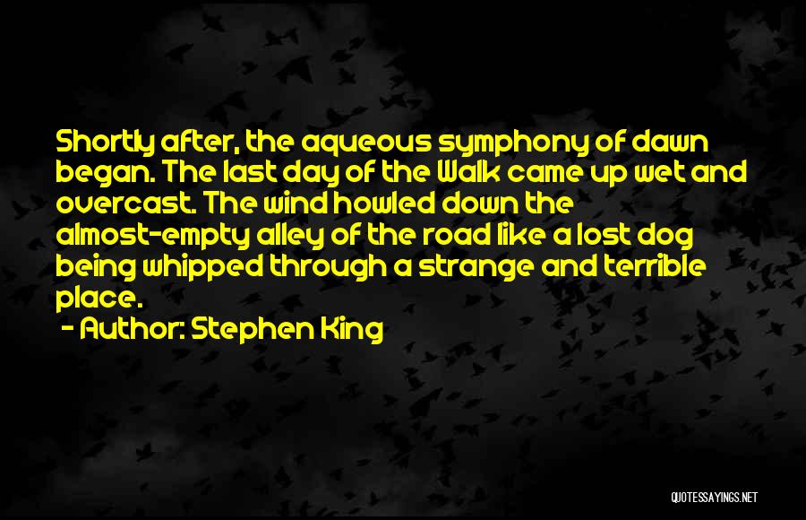 Not Being Whipped Quotes By Stephen King