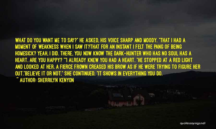 Not Being Who You Were Quotes By Sherrilyn Kenyon
