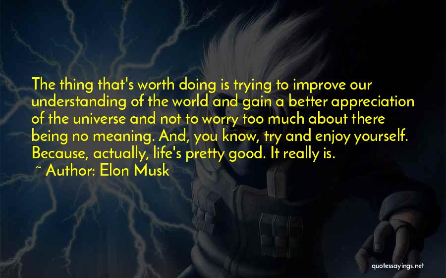 Not Being Worth It Quotes By Elon Musk