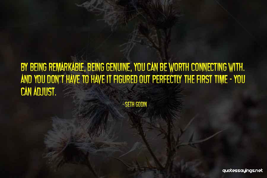 Not Being Worth It To Someone Quotes By Seth Godin