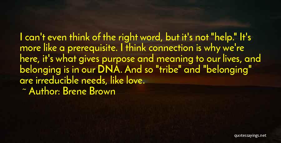 Not Belonging Here Quotes By Brene Brown