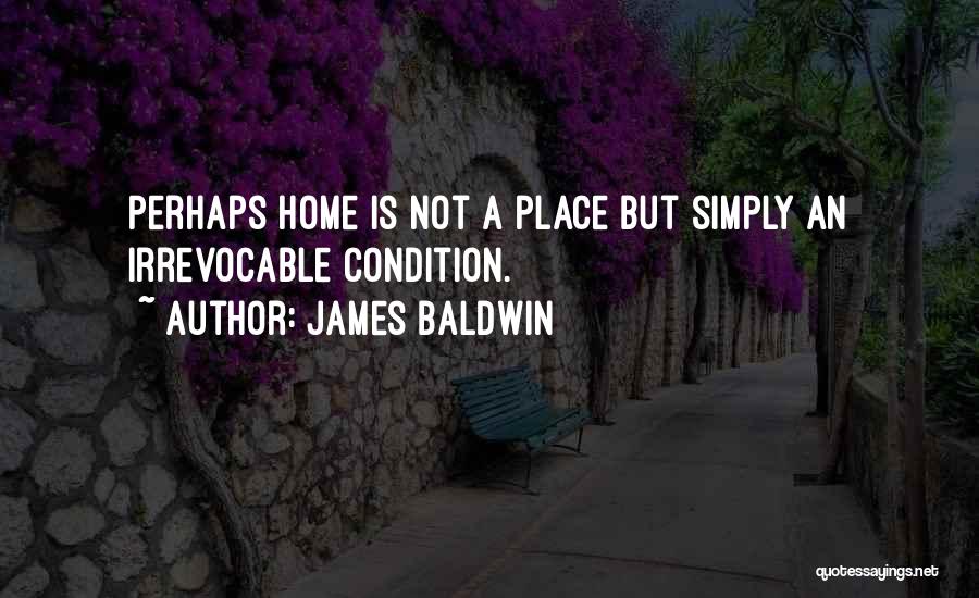 Not Belonging Quotes By James Baldwin