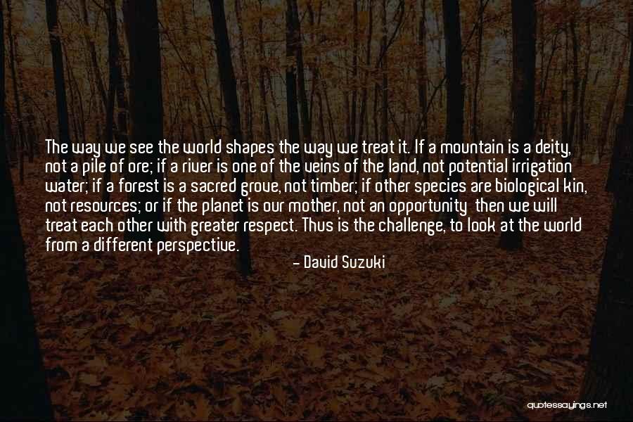 Not Biological Mother Quotes By David Suzuki