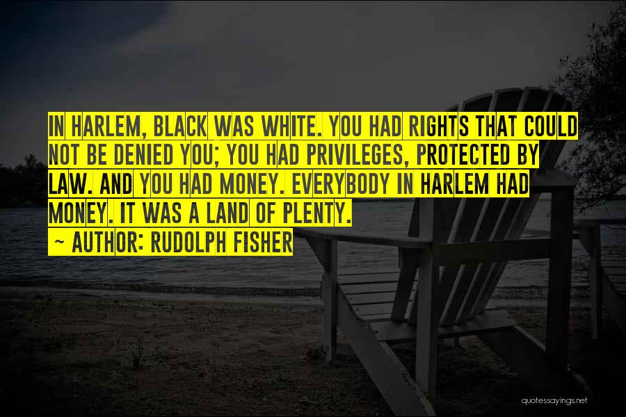 Not Black And White Quotes By Rudolph Fisher