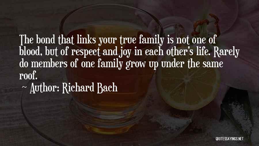 Not Blood But Family Quotes By Richard Bach