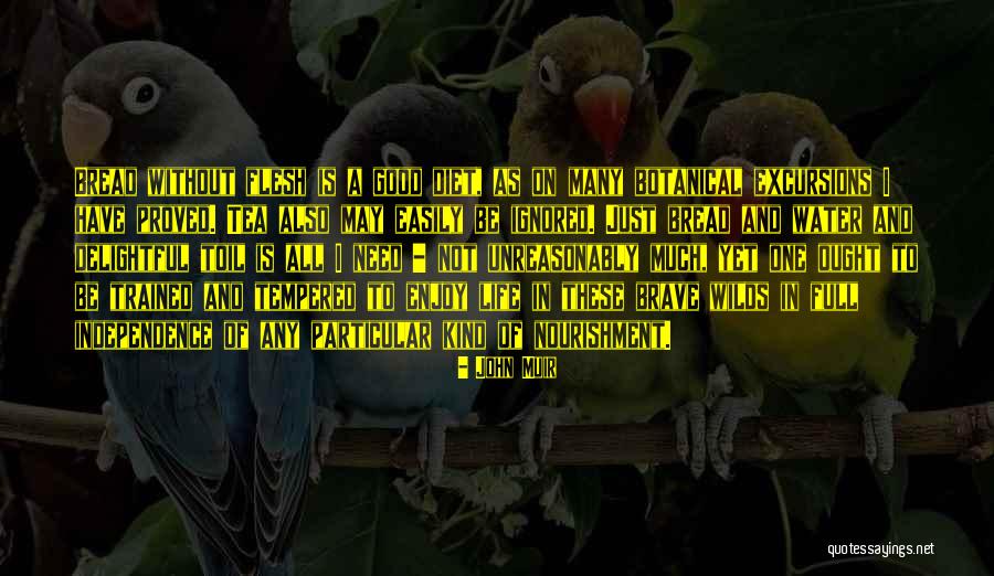 Not Brave Quotes By John Muir Not Brave Quotes By John Muir