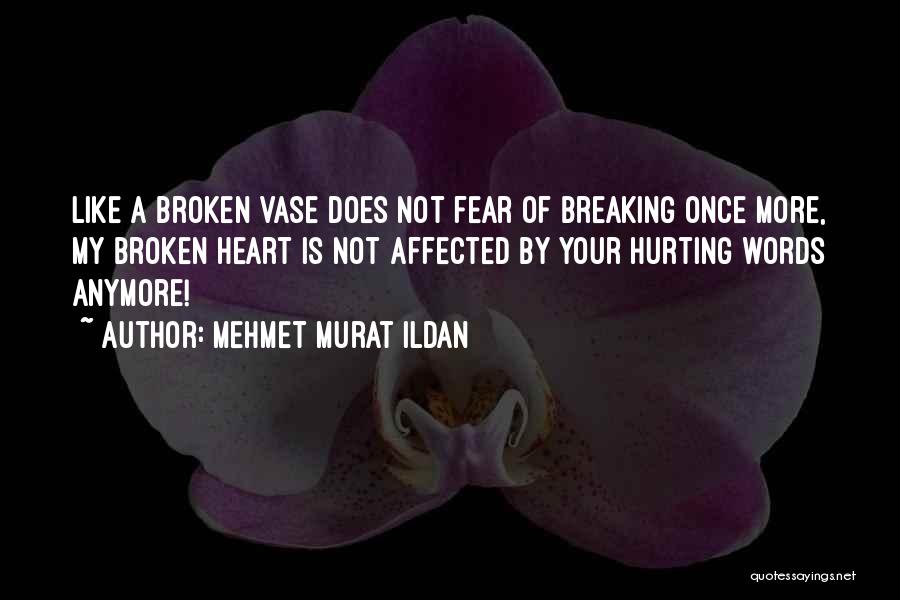 Not Breaking My Heart Quotes By Mehmet Murat Ildan