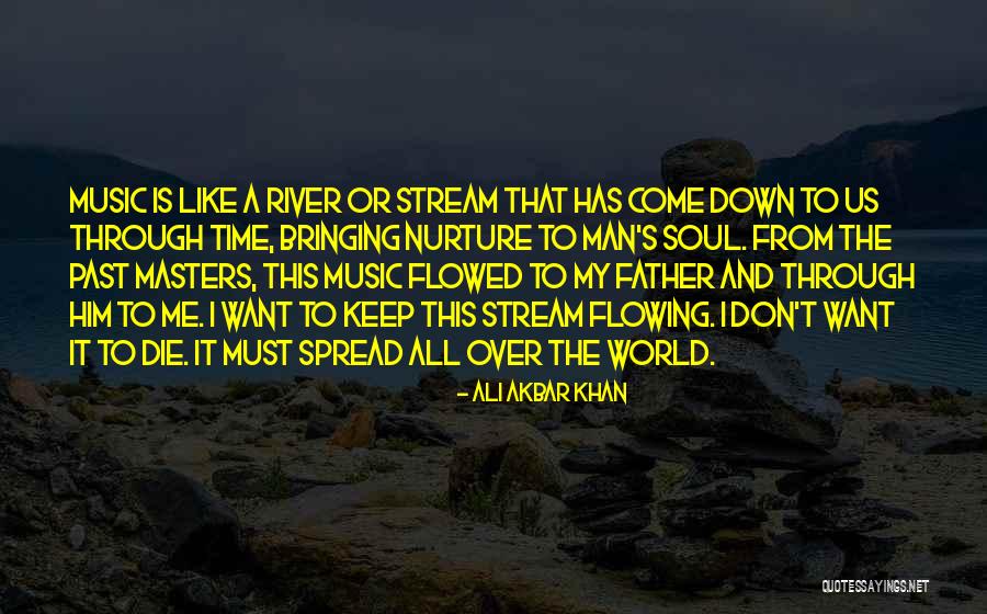 Not Bringing Me Down Quotes By Ali Akbar Khan