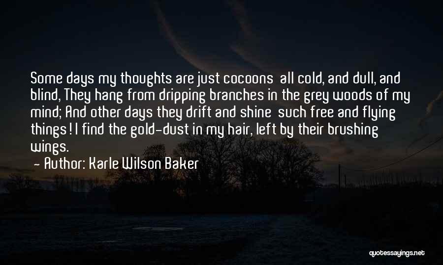 Not Brushing Hair Quotes By Karle Wilson Baker