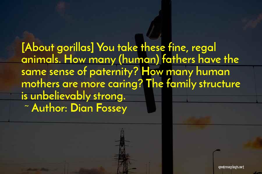 Not Caring About Family Quotes By Dian Fossey