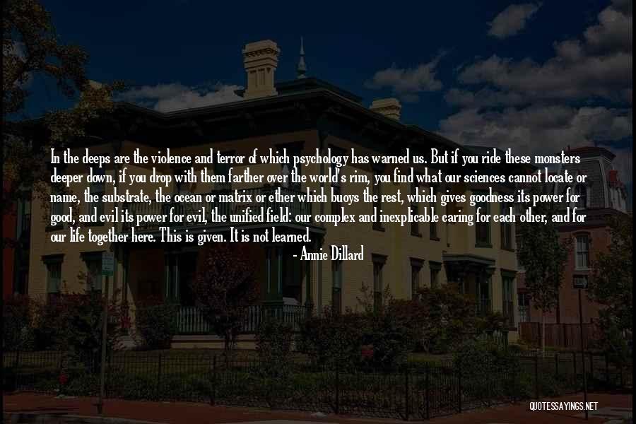 Not Caring In Love Quotes By Annie Dillard Not Caring In Love Quotes By Annie Dillard