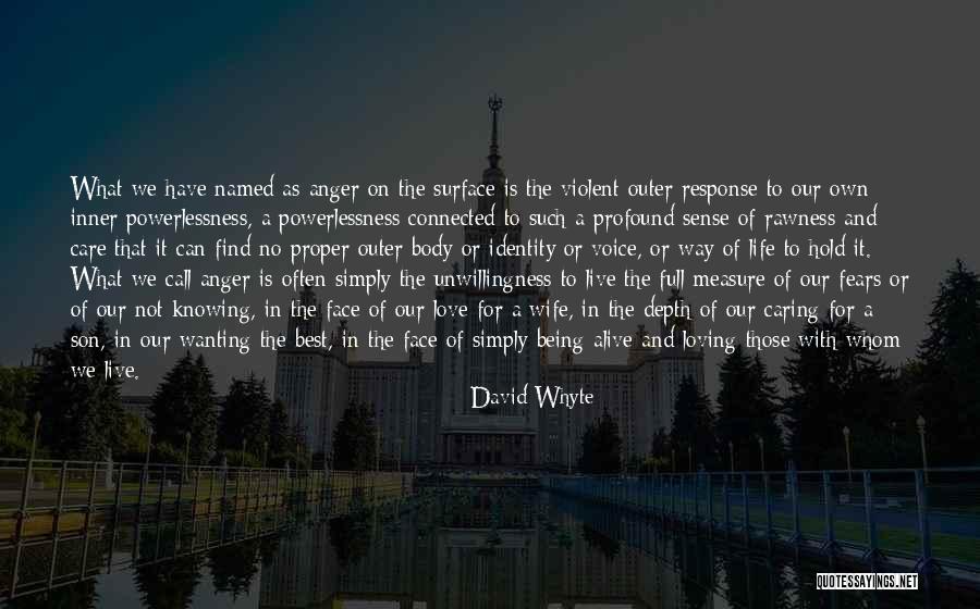 Not Caring Love Quotes By David Whyte Not Caring Love Quotes By David Whyte
