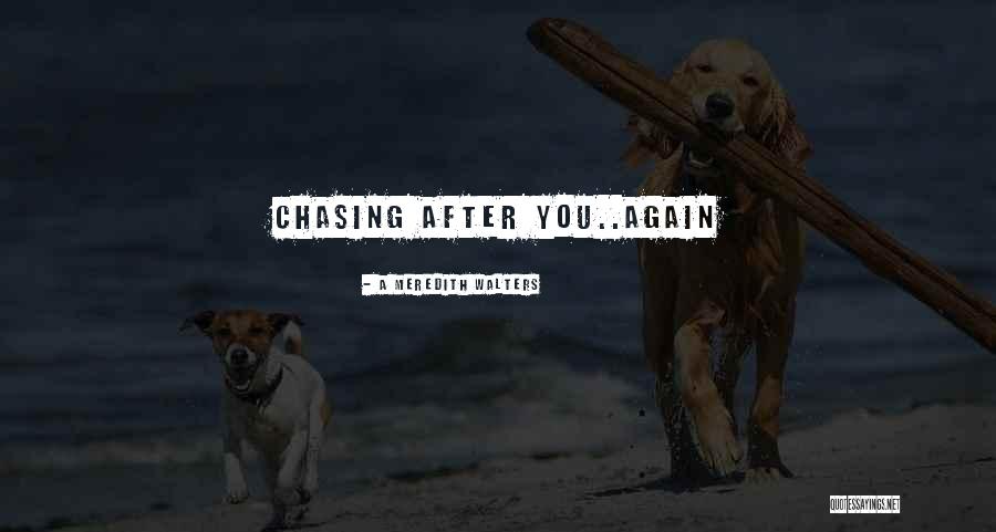 Not Chasing After Someone Quotes By A Meredith Walters Not Chasing After Someone Quotes By A Meredith Walters