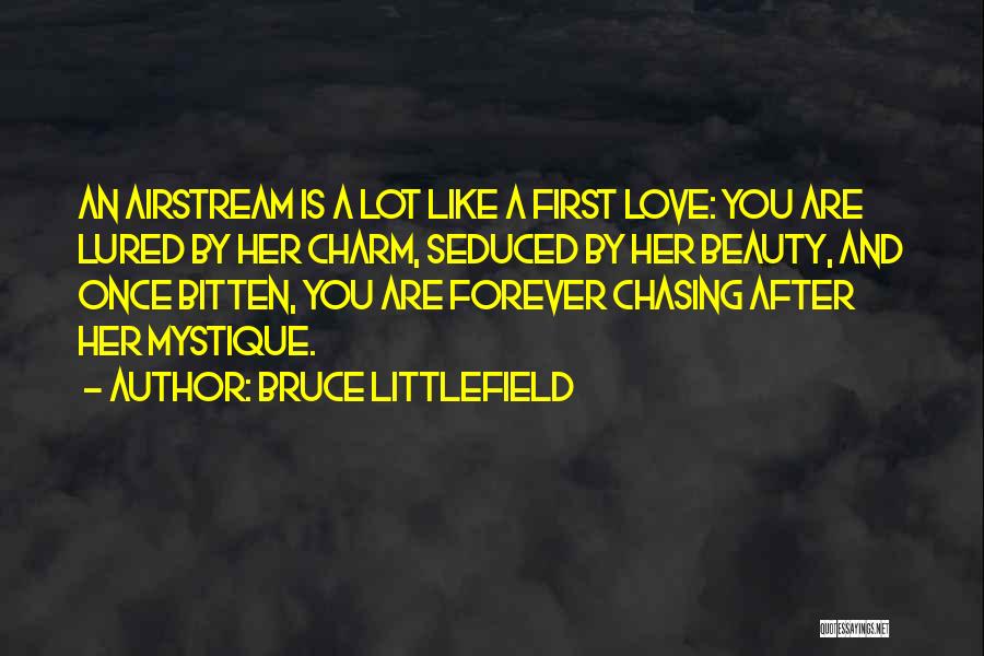 Not Chasing After You Quotes By Bruce Littlefield