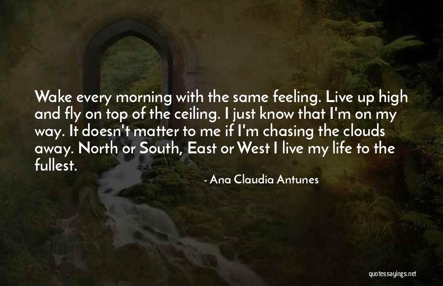 Not Chasing Dreams Quotes By Ana Claudia Antunes