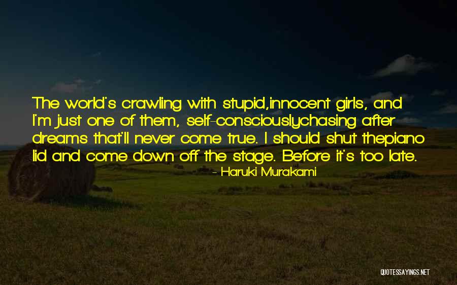 Not Chasing Dreams Quotes By Haruki Murakami