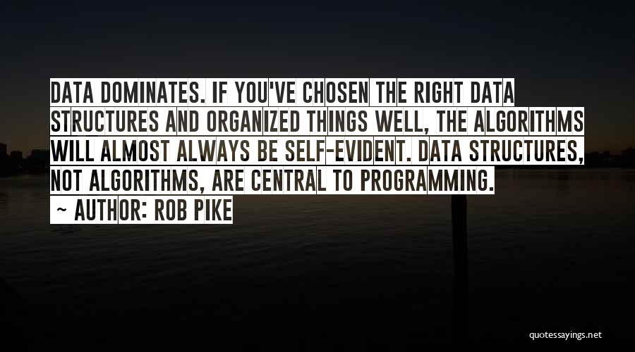 Not Chosen Quotes By Rob Pike